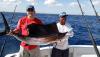 Sailfish Derek small.jpg